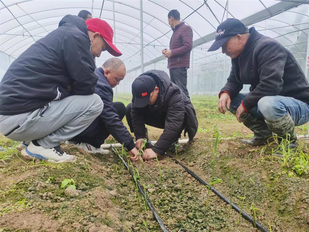 初心为农 复兴前锋